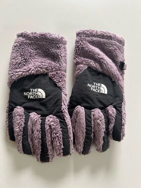 The North Face Lilac Plush Fleece Gloves with Black Palms
